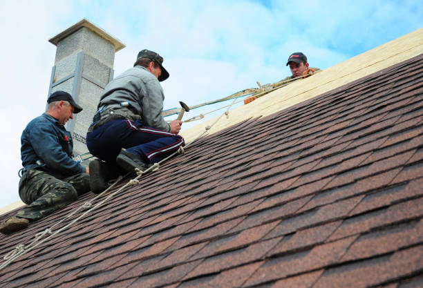 Best Roof Gutter Cleaning  in Salem, NJ